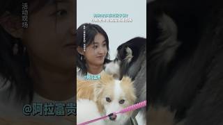喜欢漂亮姐姐#电影 《我会好好的》#狗狗 #我会好好的