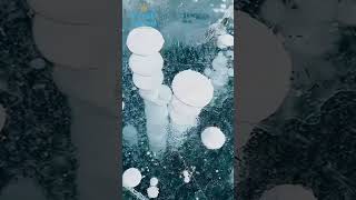 【鮮旅看世界】氣泡冰是怎麼來的？#永青旅行社 #鮮旅假期#貝加爾湖#藍冰