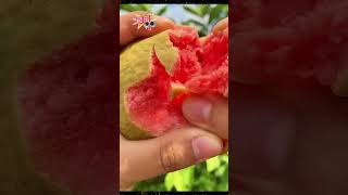 #shortvideo #viralvideo #fruitvideos #fruits #frutas