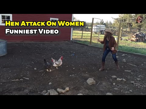 Hen Attack On Women Funniest Video #funny #faills #funnyvideos