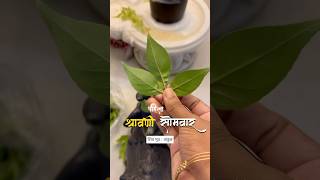 Shravani Somvar #shivmuth #shiv #shivshankar #shravansomvar #shorts #marathiculture