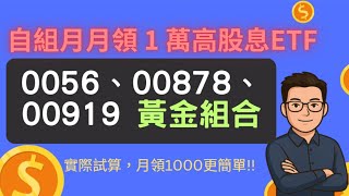 輕鬆自組高股息月月配0056 00878 00919每月領1萬元