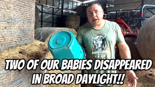 I Had No Choice I Had To Act Fast!! We Will Continue Searching For The Babies!!￼