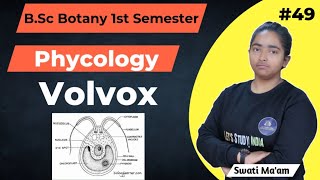 Volvox | B.Sc. Botany 1st Semester | Swati Ma'am |