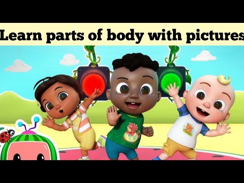 Learn Parts of Body | | Cocomelon fun || Human parts of body with pictures