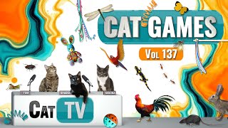 CAT Games | Ultimate Cat TV Compilation Vol 137 | 8 HOURS  🐝🐞🦋🦎🦜🐜🐭🧵