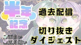 【半年記念】これで になるあん がまるわかり？！過去配信切り抜きダイジェスト～💚💜 #新人vtuber配信