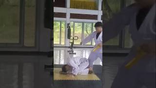 Beginners ippon training #judo #ippon #kids #shorts