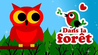 Dans la forêt lointaine 🐦 comptines pour bébé