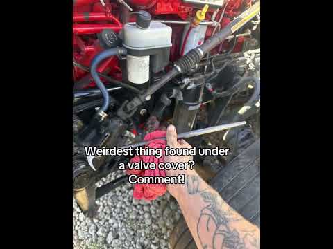 What’s the weirds thing you’ve found?