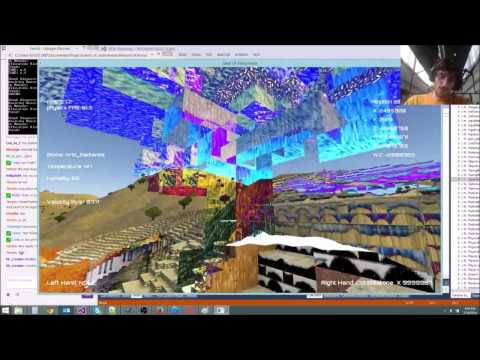 Cool Graphical Bugs!