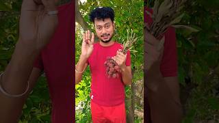 #durgapuja #foryou #shortvideo