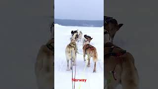 #travel #lovetotravel #bucketlistdestination #bucketlist #bucketlistexperience #norwaytravel