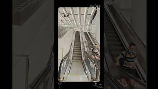 西九高鐵集合5号