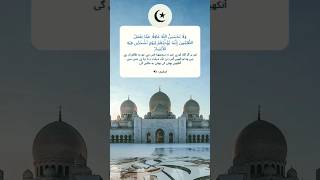 "Wisdom from the Quran | Urdu Islamic Quotes for Reflection"#islamicstatus #quran #urduzone