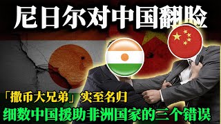 【撒币大兄弟实至名归，尼日尔给了中国一记响亮的耳光】尼日尔驱逐3名中石油高管，细数中国援助非洲国家的三个错误，一带一路是大国战略还是“冤大头”游戏？｜政变｜大撒币｜台湾｜比亚迪｜宏大叙事｜一中原则