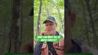 The more I learn about birds, the more they tell me about our forests! #bird #birds #short #shorts