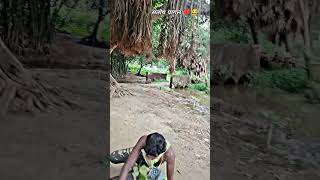 Pagal tending song Bhojpuri #gunjan_singh_bhojpuri_new_video