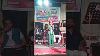 New Year program