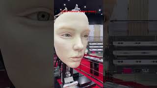 Giant Robot Face Looked At Me!