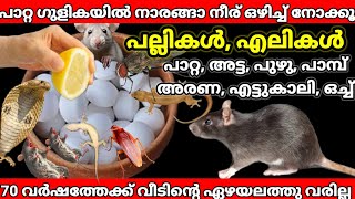 പാറ്റ ഗുളികയിൽഒരു തുള്ളി ഒഴിച്ച് നോക്കൂ പാറ്റ പല്ലി എലി വംശപരമ്പര തന്നെനശിക്കും #simplepowerfulltips