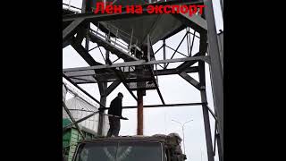 Экспорт Зерна из России на экспорт. Урожай 2021.Элеватор.