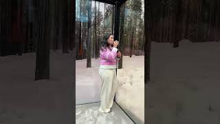 You + me in a mirror cabin in Finland? #finland #lapland #laplandfinland #cozycabin