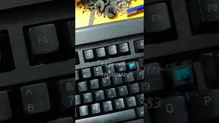 MX Blue cherry key TVS gold USB keyboard Refurbished,  7982865583✌️✌️  #shaorts #skcomputer.