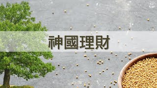 【神國理財 第四課】投資不是不勞而獲 / 理性的高風險投資 / 超越神國理財的新境界 / 奉獻多多也要照步來