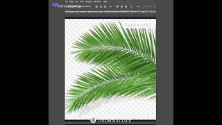 ✨🖼️ "Mastering Image Magic with Background Removal and Editing Excellence!" 🚀🎨