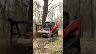 Clearing debris from property. #landclearing #skidsteer #forestrymulching