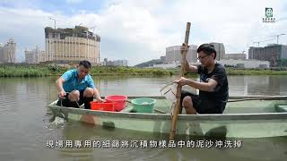 澳门路氹城生态保护区