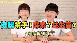 酵素？益生菌？健腸保腦幫手怎麼挑！- 神經很有事 x 鄭淳予醫師