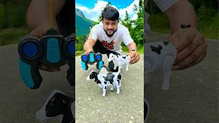 Mera 2 Rc Cow 🐄 ki Testing wala video🔥