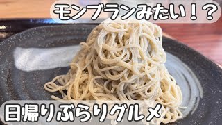 【隠れ家的な】日帰りぶらりグルメ〜手打ちそば いっ時あん【細い蕎麦】〜One-Day Stroll Trip: Japan Edition〜