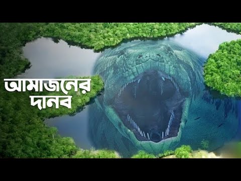 আমাজন জঙ্গল যেসব রহস্যের জন্ম দিয়েছে || PART-III  Amazon Forest Most Dangerous Trees