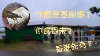 [米埔樂悠悠] 參觀米埔基圍蝦收成︱「刀額新對蝦」即是基圍蝦?︱ 深入瞭解基圍的發展史。