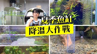 夏季魚缸降溫大作戰!【新手養魚】