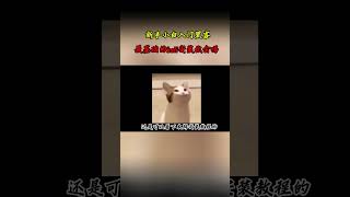 NINJA OMEGA SEC  |  新手想自学黑客？教你几步搞定kali安装，小白入门级教程 #黑客 #网络安全 #渗透测试
