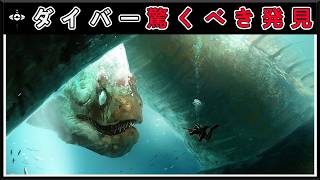 水中に現れた謎の生物に震え上がるダイバー！恐怖のあまり立ちすくむ……現実離れした驚愕の発見15選！