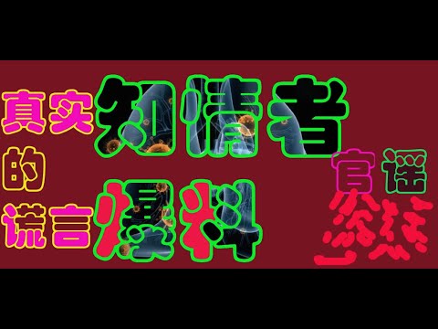 真实的谎言3--------知情人的爆料，情况很丧很丧，没有任何物资和防护服