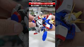 【ガンプラ】ガンダム史上最も熱い主役機交代！RGの2体で再現！RG 1/144 シャイニングガンダム #gundam #gunpla #機動武闘伝gガンダム #plamo #プラモデル #バンダイ