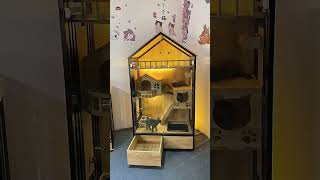 Luxury Wood Cat House Modern Design