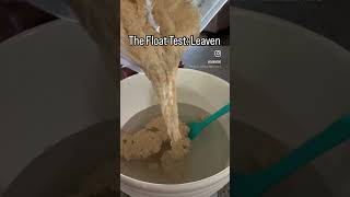 The Float Test: Sourdough Leaven