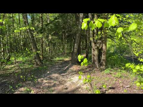 Ленивый спортсмен. Занятие 2.3 (снято на iPhone 11 4K 60fps)