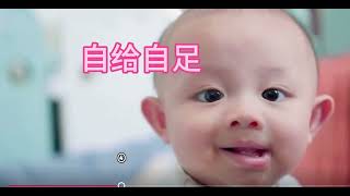 国学经典
