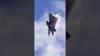 The World's Largest Defence Company