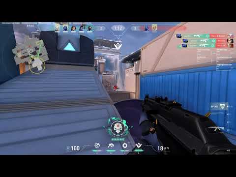 Valorant | Fastest Vandal Ace EVer
