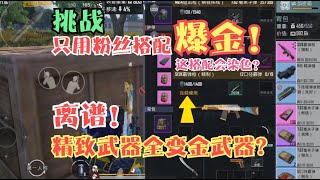 挑战用粉丝搭配爆金！开局精致S12K+精致MK！一局全变金武器？