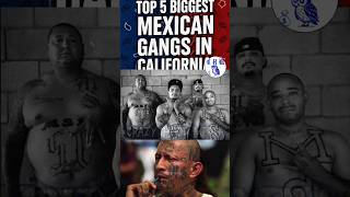 Top 5 Most Dangerous Mexican Gangs in California 🔵🔴 | Chicano Street Culture EXPOSED”📄 #hood #cali